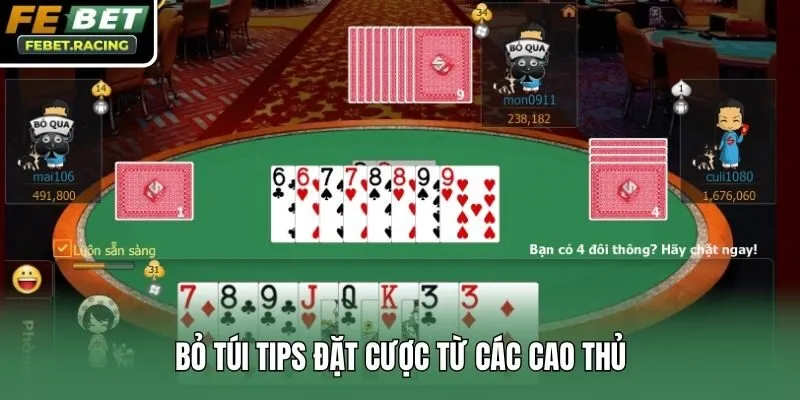 Bỏ túi tips đặt cược từ các cao thủ